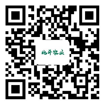 扫一扫，更精彩